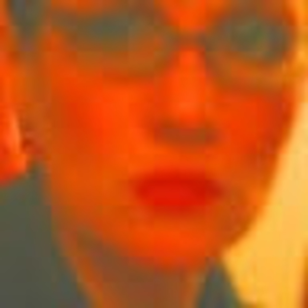 Meet your Posher, Fran